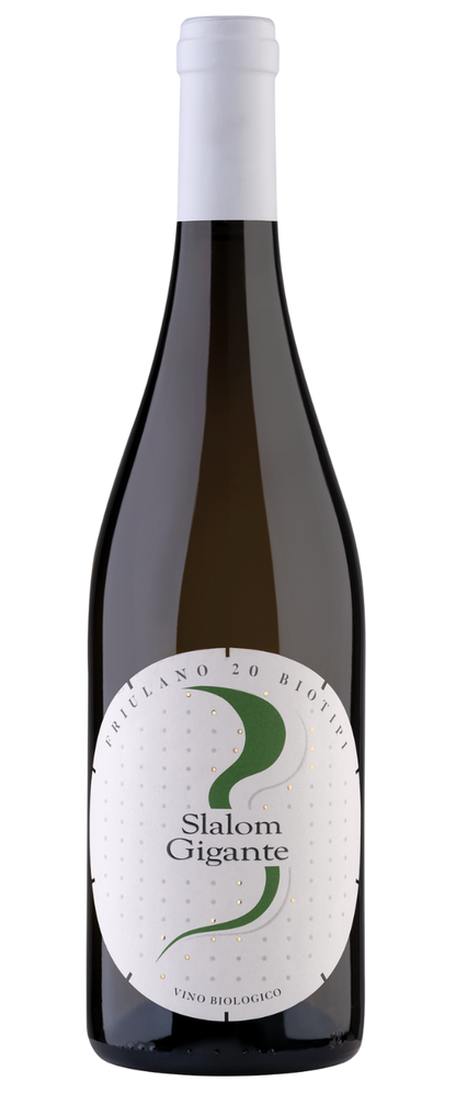 SLALOM GIGANTE BIO 2023