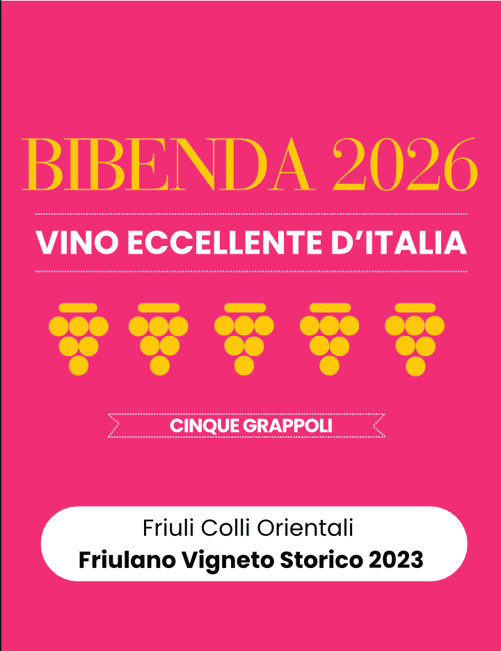 FRIULANO VIGNETO STORICO BIO 2023