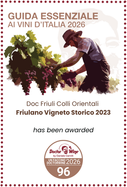 FRIULANO VIGNETO STORICO BIO 2023