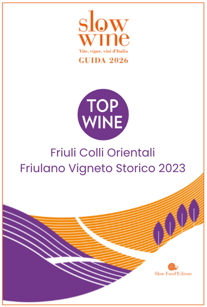 FRIULANO VIGNETO STORICO BIO 2023